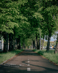 bicycle path in the city
