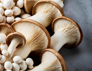 Fresh beech mushroom. pattern texture background.