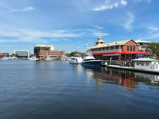 Fototapeta premium Downtown Palafox Pier