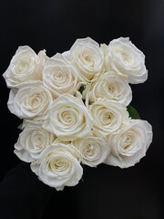 white roses on black