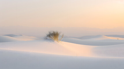 A desert landscape with a beautiful sunset in the background