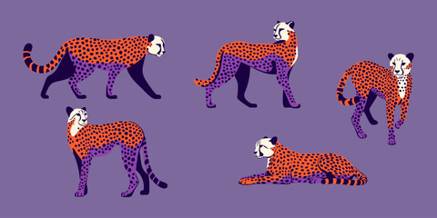 Gepard. Kolekcja dzikich kotów. Ilustracja wektorowa.