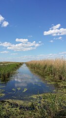 Anahuac National Wildlife Refuge, Texas