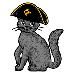 Pirate cat cartoon character color sketch engraving PNG illustration. T-shirt apparel print design. Scratch board imitation. Black and white hand drawn image.
