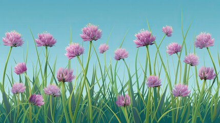 Purple chives flowers blooming in a green meadow, with clear blue sky in the background, creating a serene nature scene.
