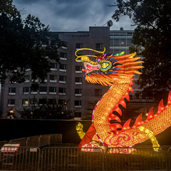 chinese dragon