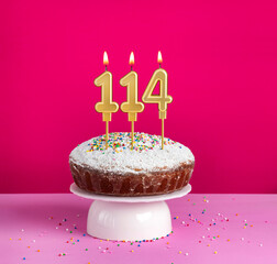 Birthday cake with number 114 candle on pink background