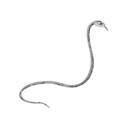 Fototapeta premium Line drawing of a slithering snake