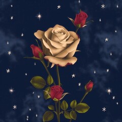 Flowers Floral Rose Romantic Illustration