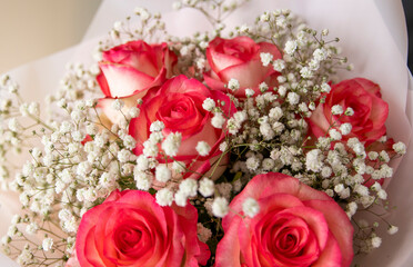 Róża (Rosa L.), Rose