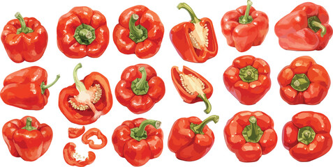 bell pepper watercolor clipart