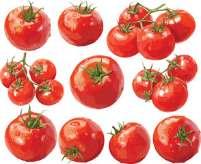 tomato watercolor clipart
