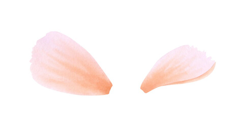 Set of orange, pink, coral or peach petals on isolated background. Hand drawn watercolor botanical illustration. Clipart for design, cards, invitations, congratulations, packaging, printing, textiles