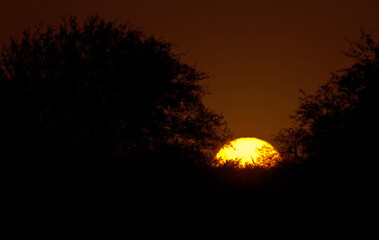 Sunrise on a winter afternoon in the Argentine countryside.