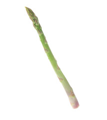 Fototapeta premium One fresh green asparagus stem isolated on white