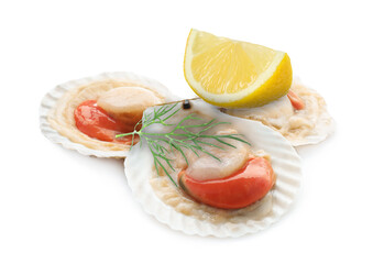 Scallops in shells, lemon and dill on white background