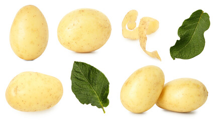 Potatoes and green leaves isolated on white, set