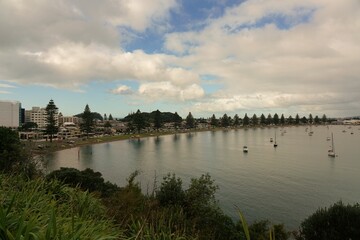 Pilot bay beach