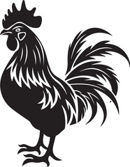 rooster isolated on white background