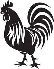 rooster isolated on white background