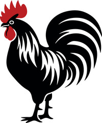 rooster isolated on white background