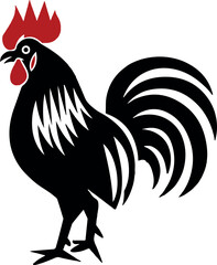 rooster isolated on white background