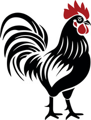 rooster isolated on white background