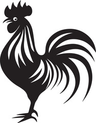 rooster isolated on white background