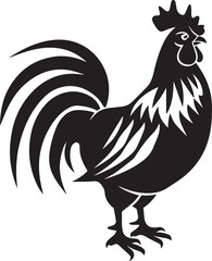 rooster isolated on white background