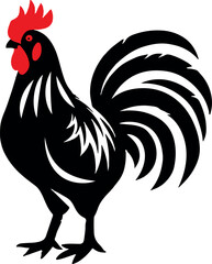 rooster isolated on white background