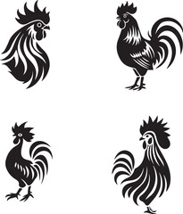 rooster isolated on white background