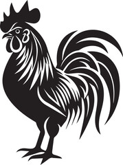 rooster isolated on white background