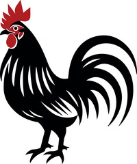 rooster isolated on white background