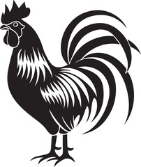 rooster isolated on white background