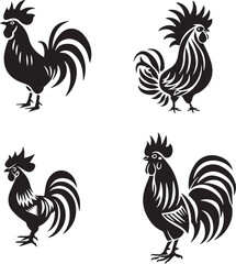 rooster isolated on white background