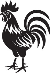 rooster isolated on white background