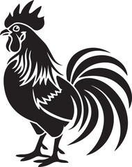 rooster isolated on white background