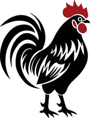 rooster isolated on white background