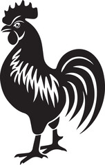 rooster isolated on white background