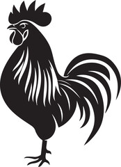 rooster isolated on white background