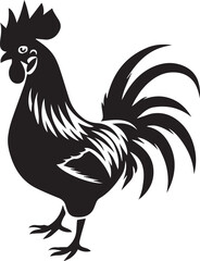 rooster isolated on white background