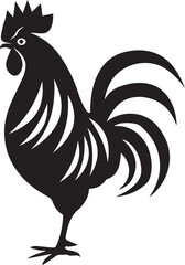 rooster isolated on white background