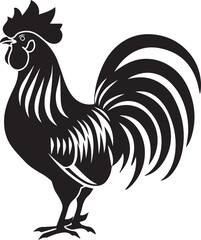 rooster isolated on white background