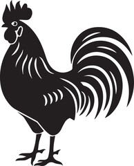 rooster isolated on white background