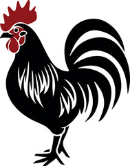 rooster isolated on white background