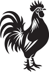 rooster isolated on white background