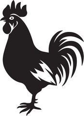 rooster isolated on white background