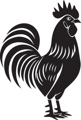 rooster isolated on white background