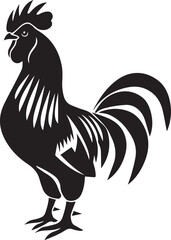 rooster isolated on white background