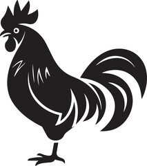 rooster isolated on white background